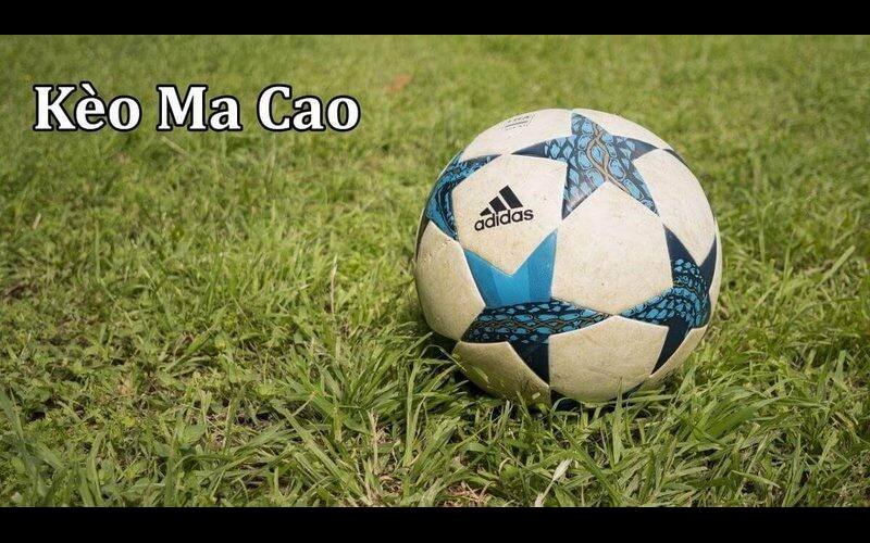 Tận dụng tỷ lệ cá cược Ma Cao để nâng cao chiến thắng