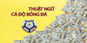 Bài viết trên của nhà cái fb88 đã giới thiệu đến bạn