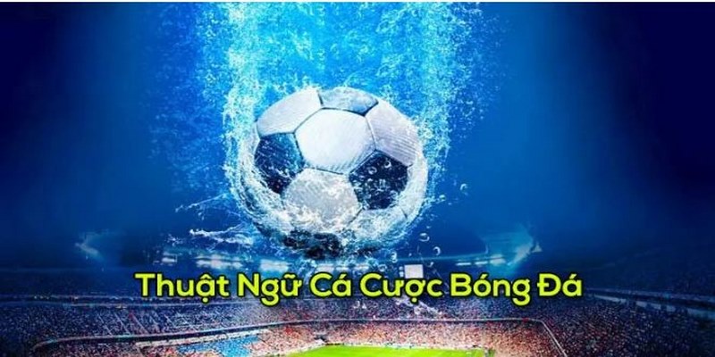 Các Thuật Ngữ Cá Độ Bóng Đá Nhất Định Cược Thủ Phải Biết 2 Khi nắm được thuật ngữ sẽ dễ dàng dễ dàng lựa chọn cược phù hợp với chiến thuật